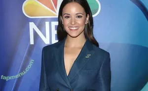 Melissa Fumero / melissafumero nude photo #0152