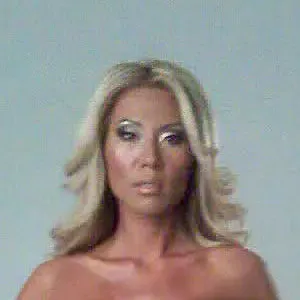 Melissa Sherman / theshermandefense nude photo #0008