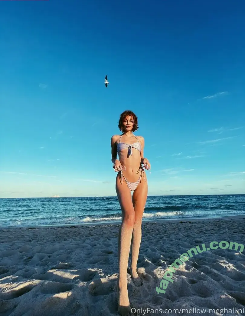 mellow-meghallini nude photo #0004 (meghall)