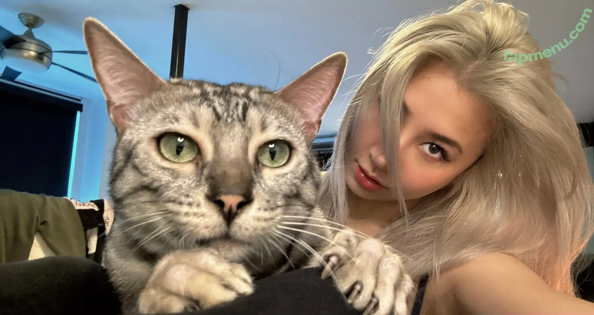 meow_meow_tv nude photo #0006 (meowmeowtv)