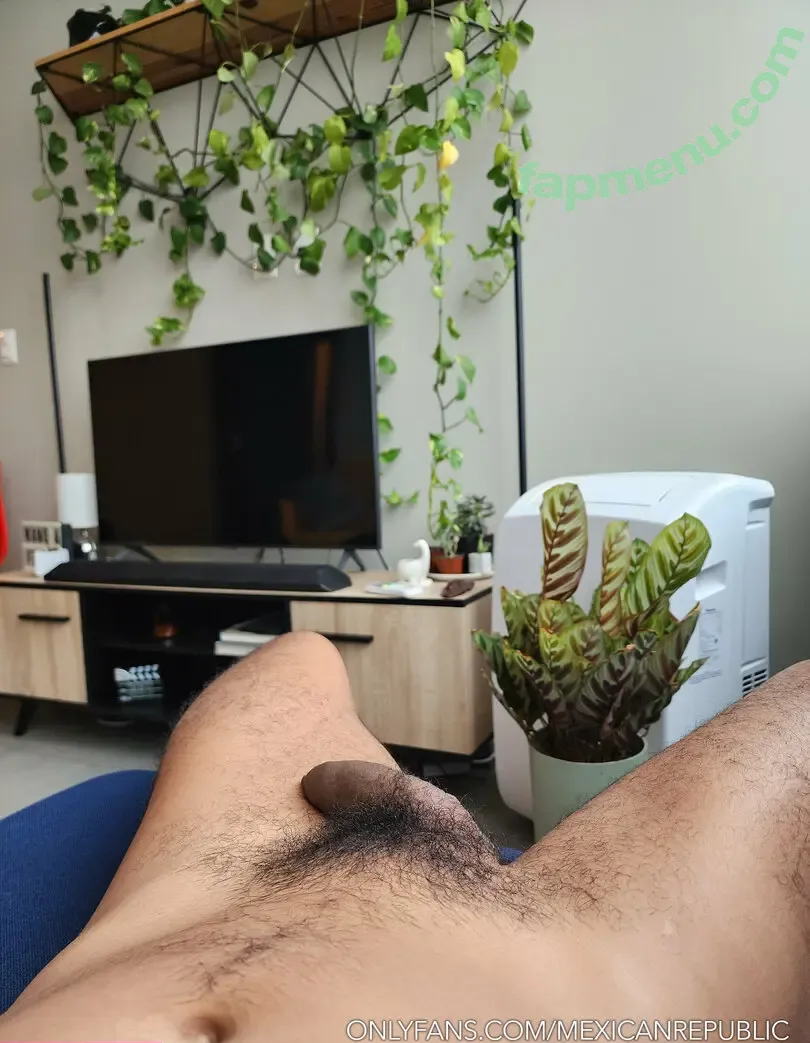 mexicanrepublic nude photo #0009 (mexicanrepublickitchen)