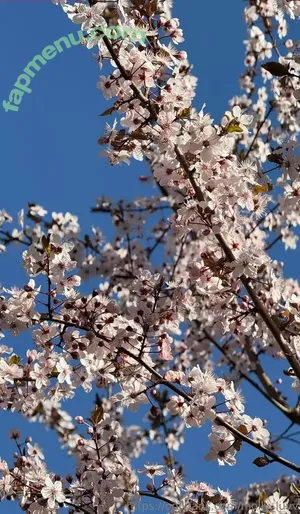 mhpeach / mhee.ph_y nude photo #0126