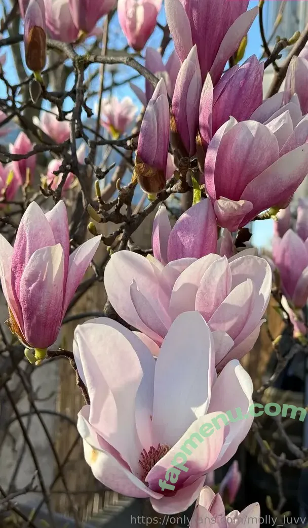 mhpeach nude photo #0123 (mhee.ph_y)