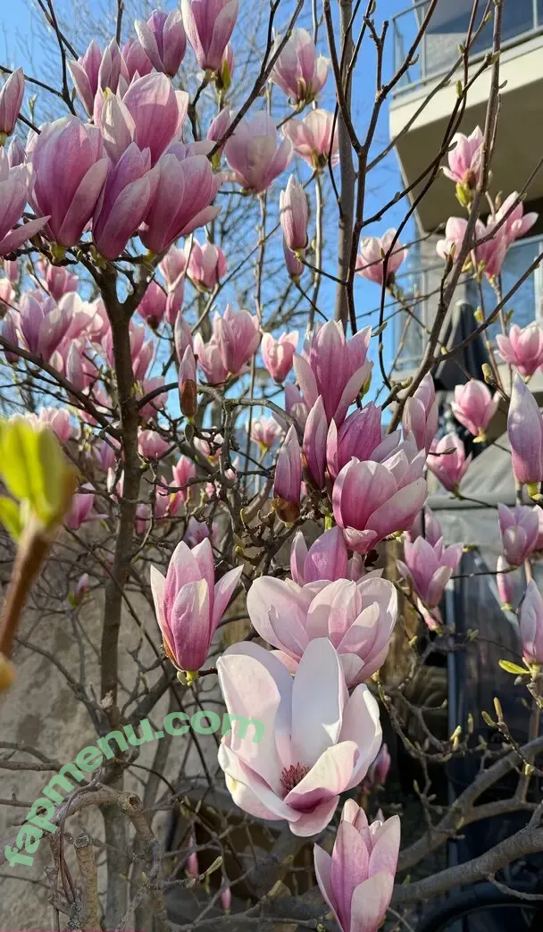 mhpeach nude photo #0125 (mhee.ph_y)