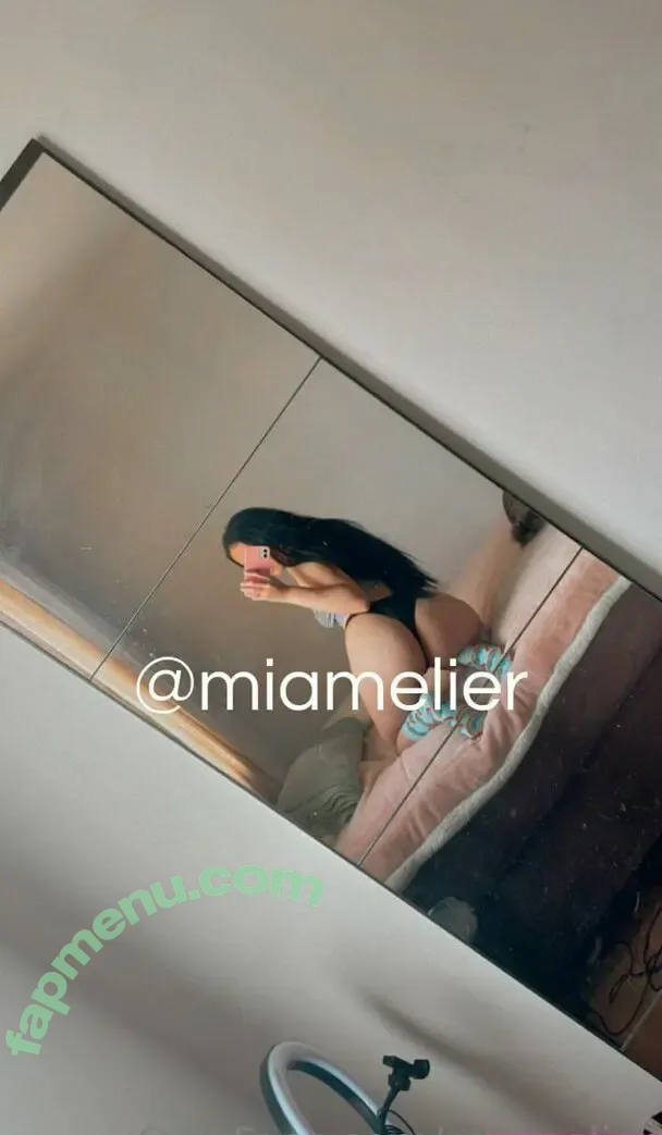 Mia Gabrielle nude photo #0019 (miagabrieelle)