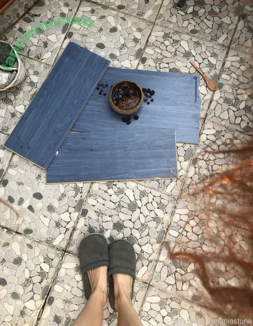 Mia Sollis nude photo #0925 (miastune)