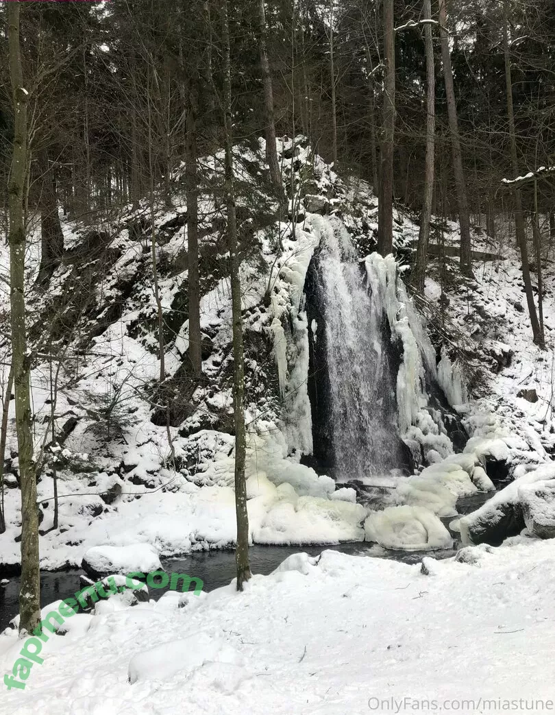 Mia Sollis nude photo #0926 (miastune)