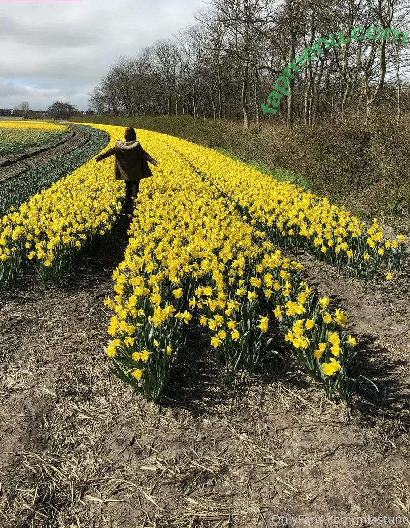 Mia Sollis nude photo #0927 (miastune)