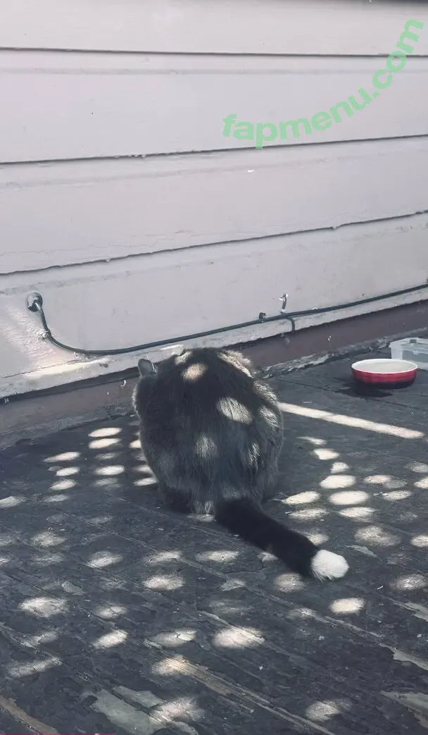 miarosexxx nude photo #0018 (miarose5151)