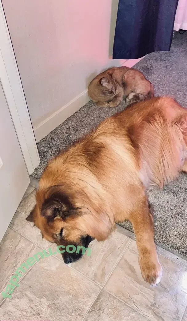 miarosexxx nude photo #0061 (miarose5151)