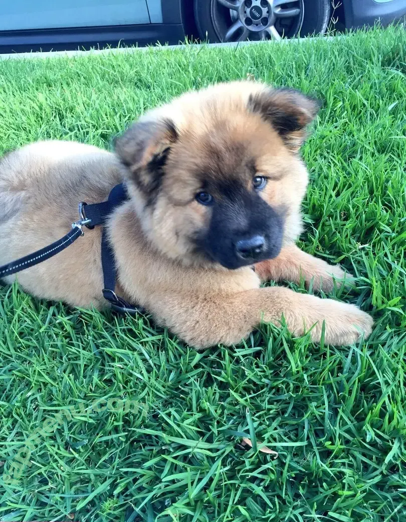 miarosexxx nude photo #0074 (miarose5151)