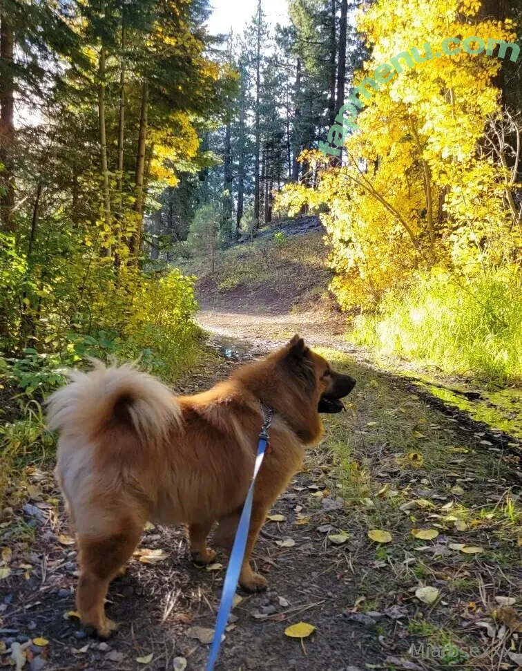 miarosexxx nude photo #0079 (miarose5151)