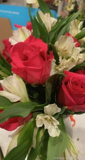 miaxo_xoxo / miapaid1 / miaxo_xox nude photo #0213