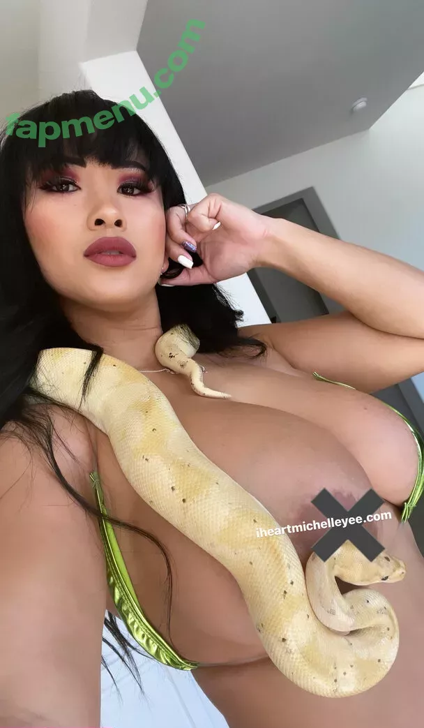 michelletheceo nude photo #0053 (ihrtmichelleyee)