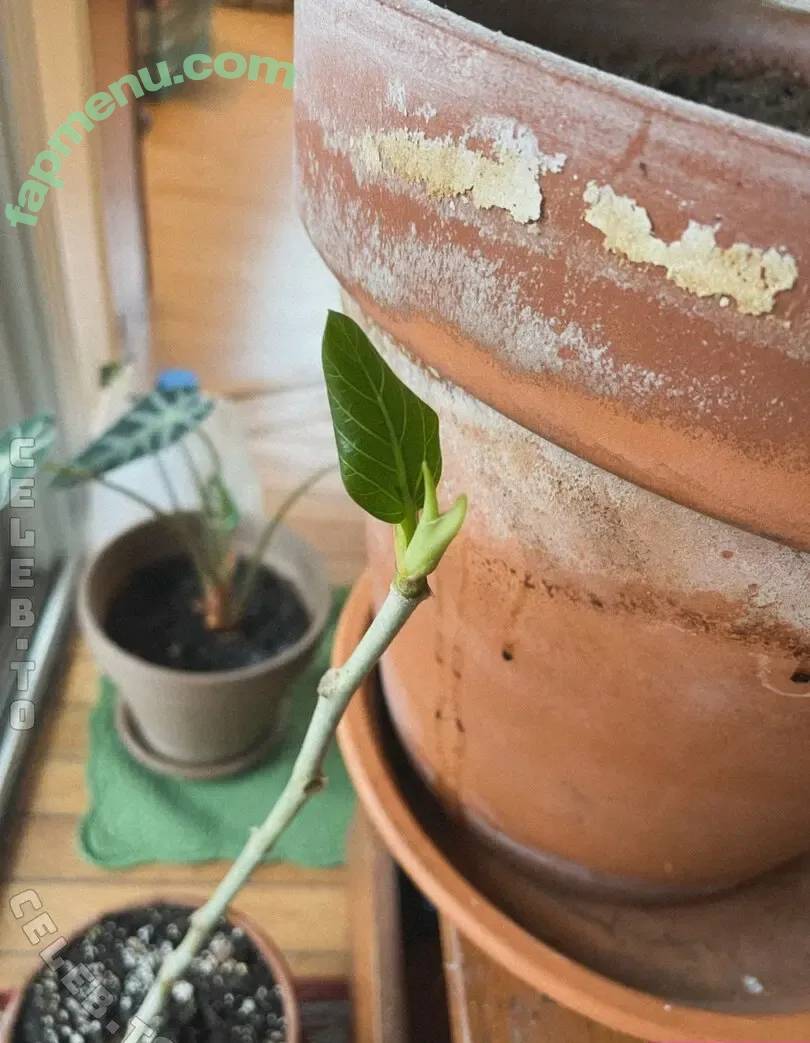 mickey nude photo #0243 (mickeyisaperv / mickeyisaperv.info)