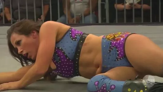 Mickie James / michelejames / themickiejames nude photo #0330