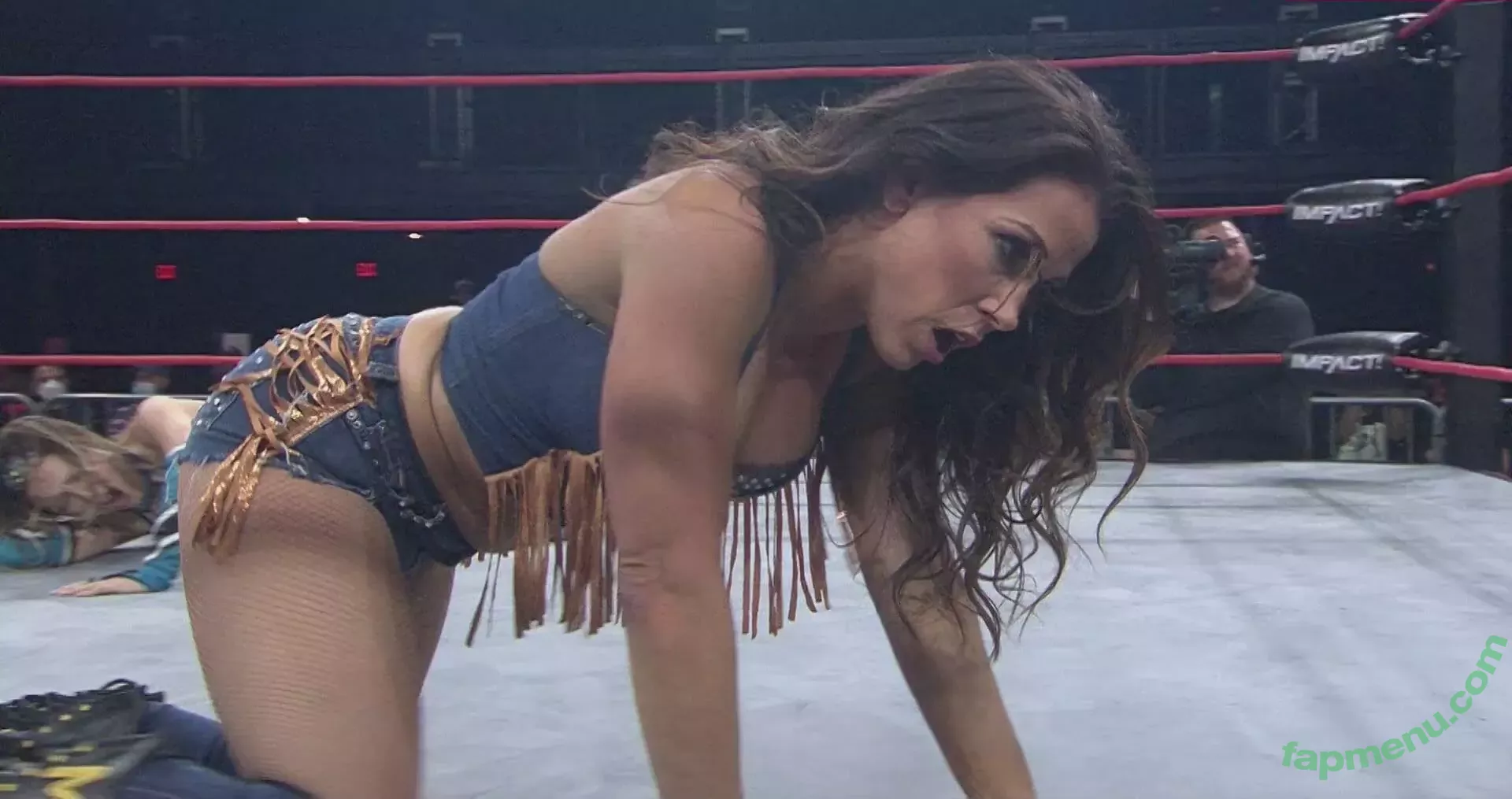 Mickie James nude photo #0310 (michelejames / themickiejames)