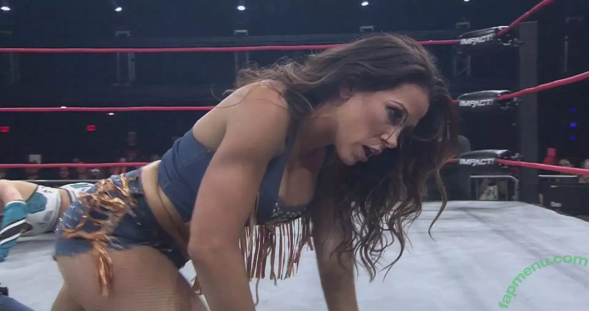 Mickie James nude photo #0311 (michelejames / themickiejames)