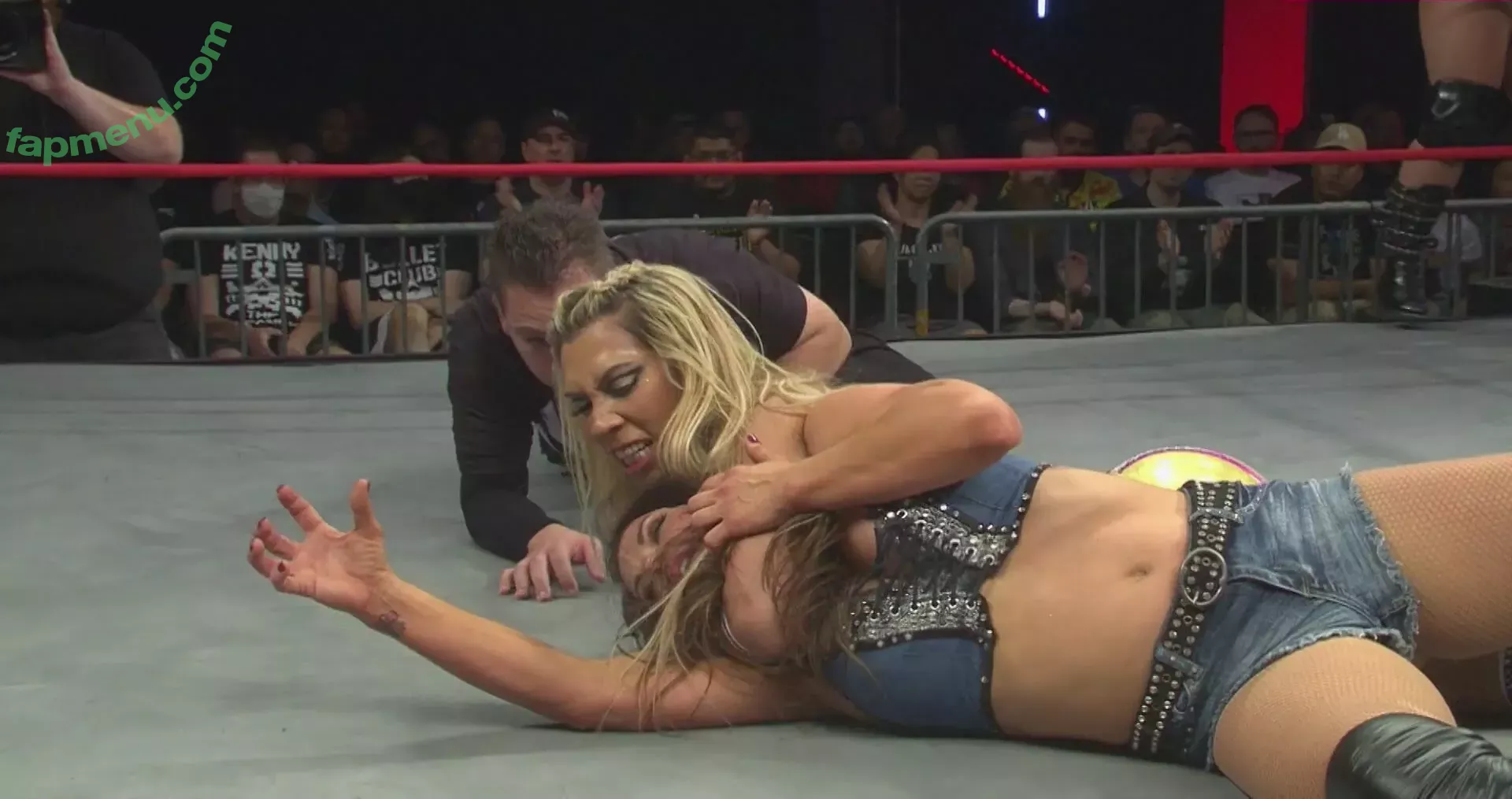 Mickie James nude photo #0319 (michelejames / themickiejames)