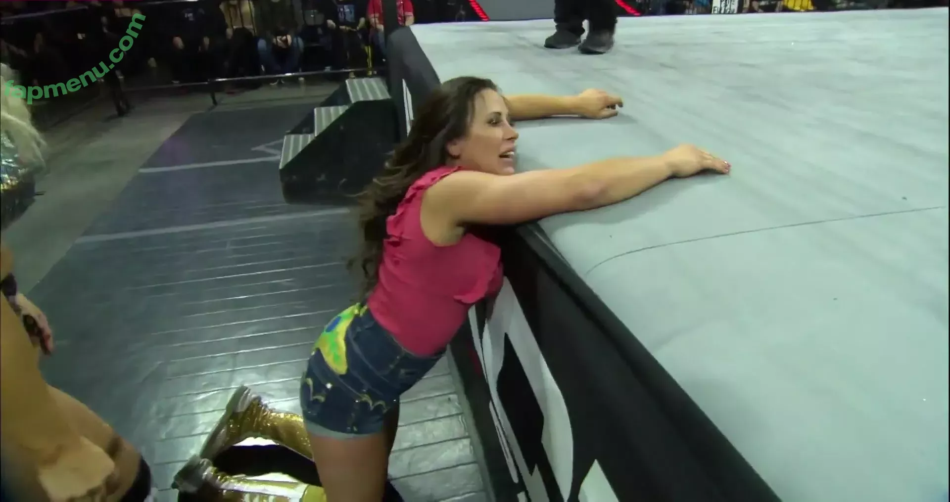 Mickie James nude photo #0342 (michelejames / themickiejames)