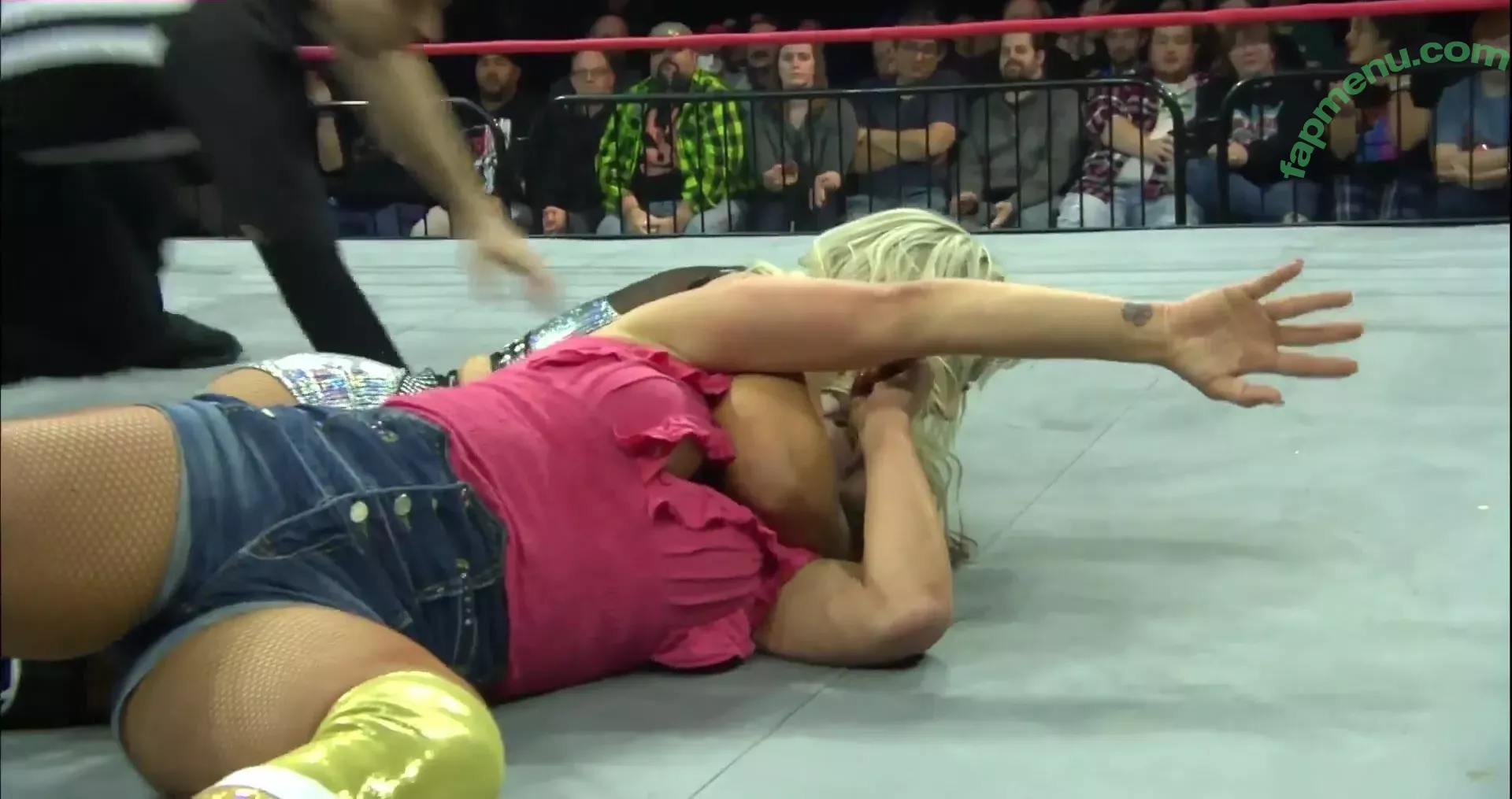 Mickie James nude photo #0351 (michelejames / themickiejames)