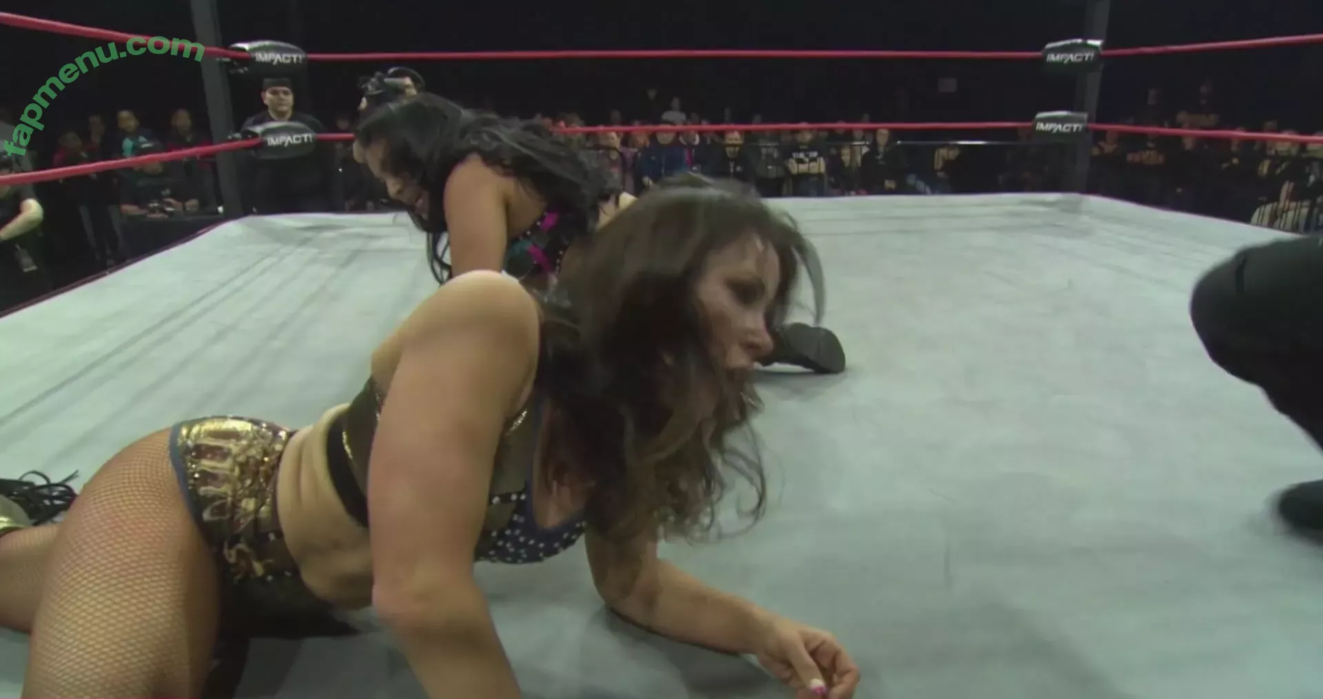 Mickie James nude photo #0400 (michelejames / themickiejames)