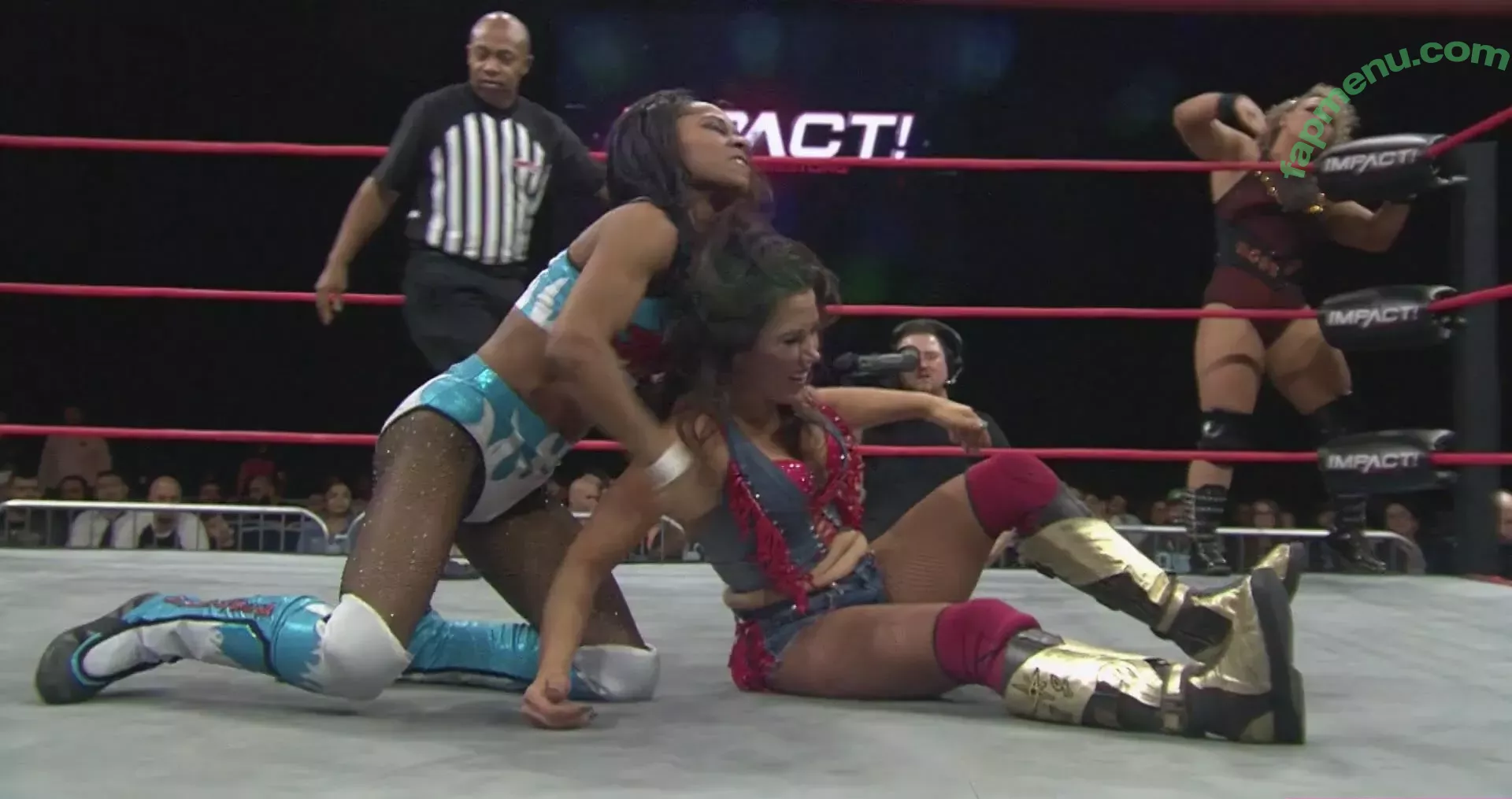 Mickie James nude photo #0411 (michelejames / themickiejames)