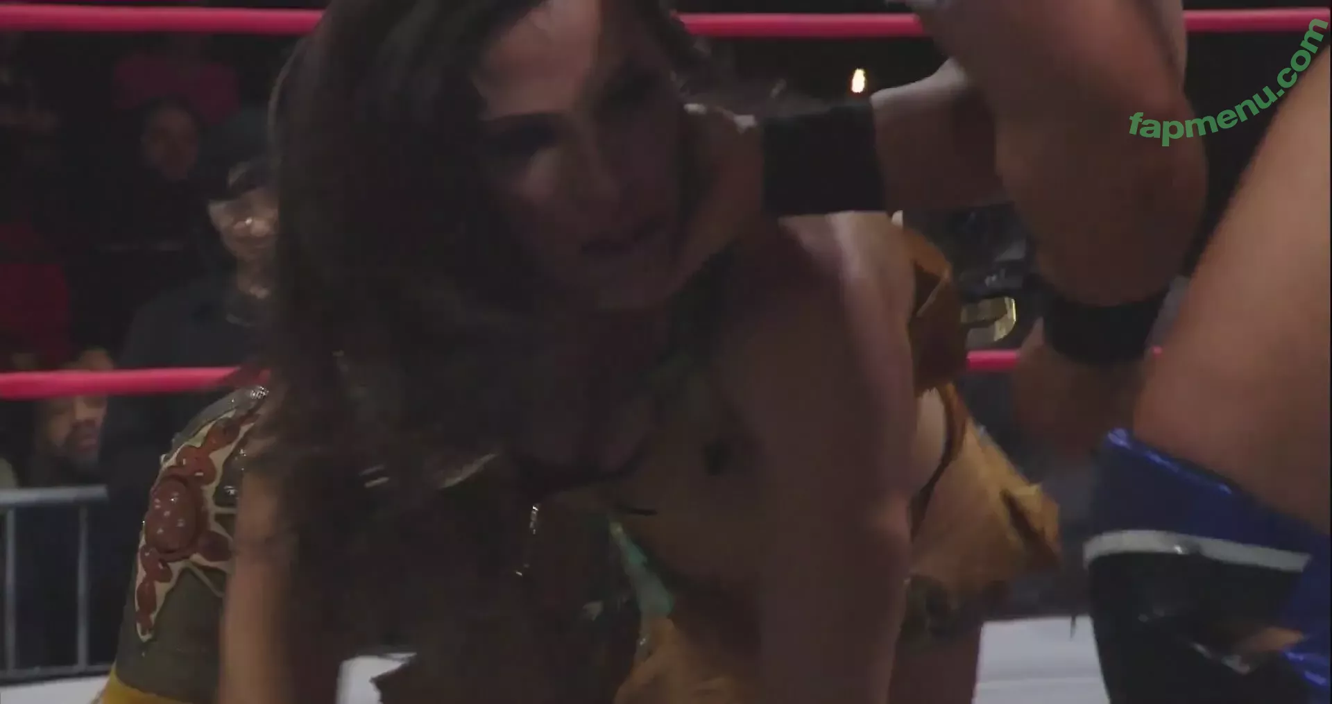 Mickie James nude photo #0505 (michelejames / themickiejames)
