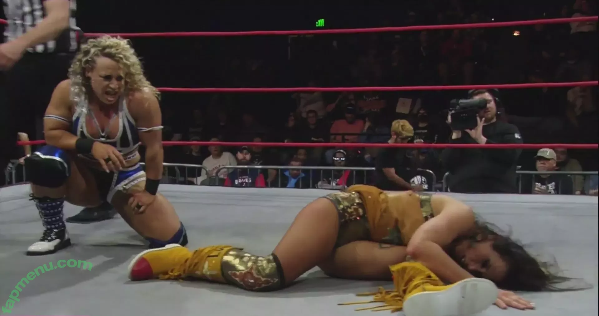 Mickie James nude photo #0509 (michelejames / themickiejames)