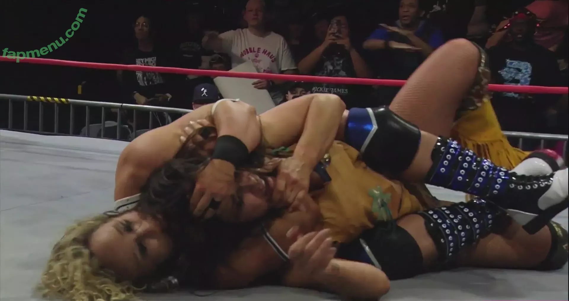 Mickie James nude photo #0514 (michelejames / themickiejames)