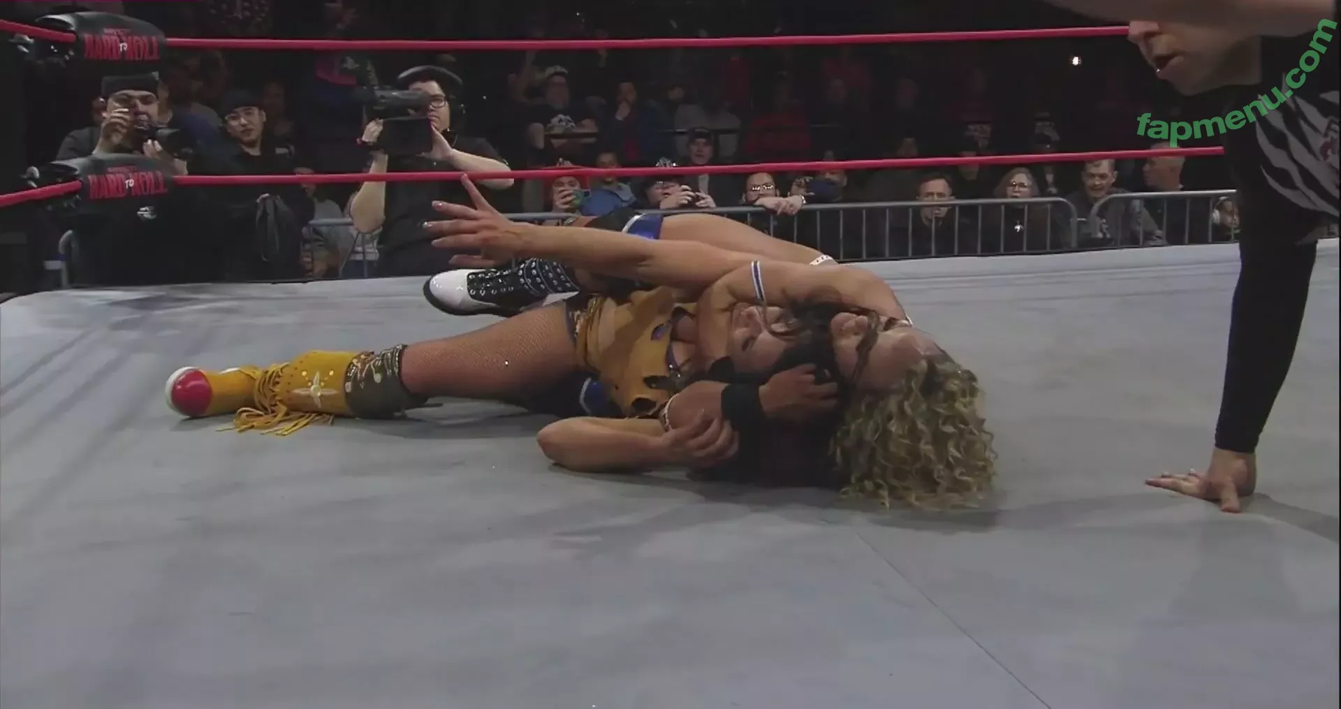 Mickie James nude photo #0517 (michelejames / themickiejames)