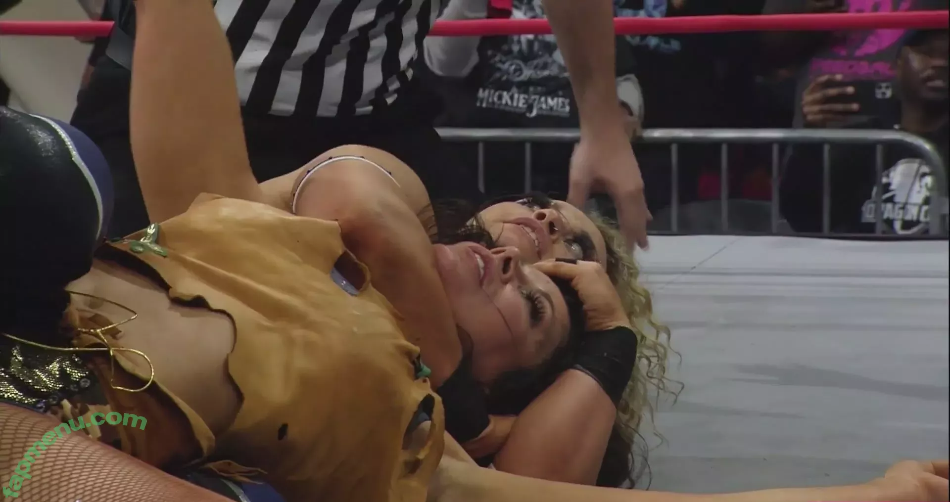 Mickie James nude photo #0535 (michelejames / themickiejames)