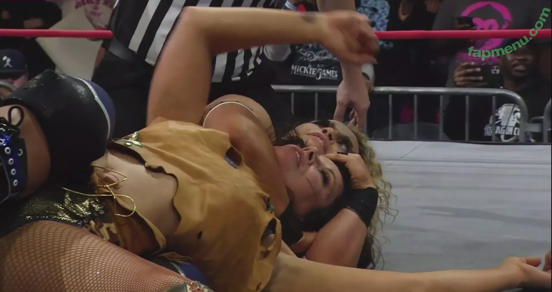 Mickie James nude photo #0536 (michelejames / themickiejames)