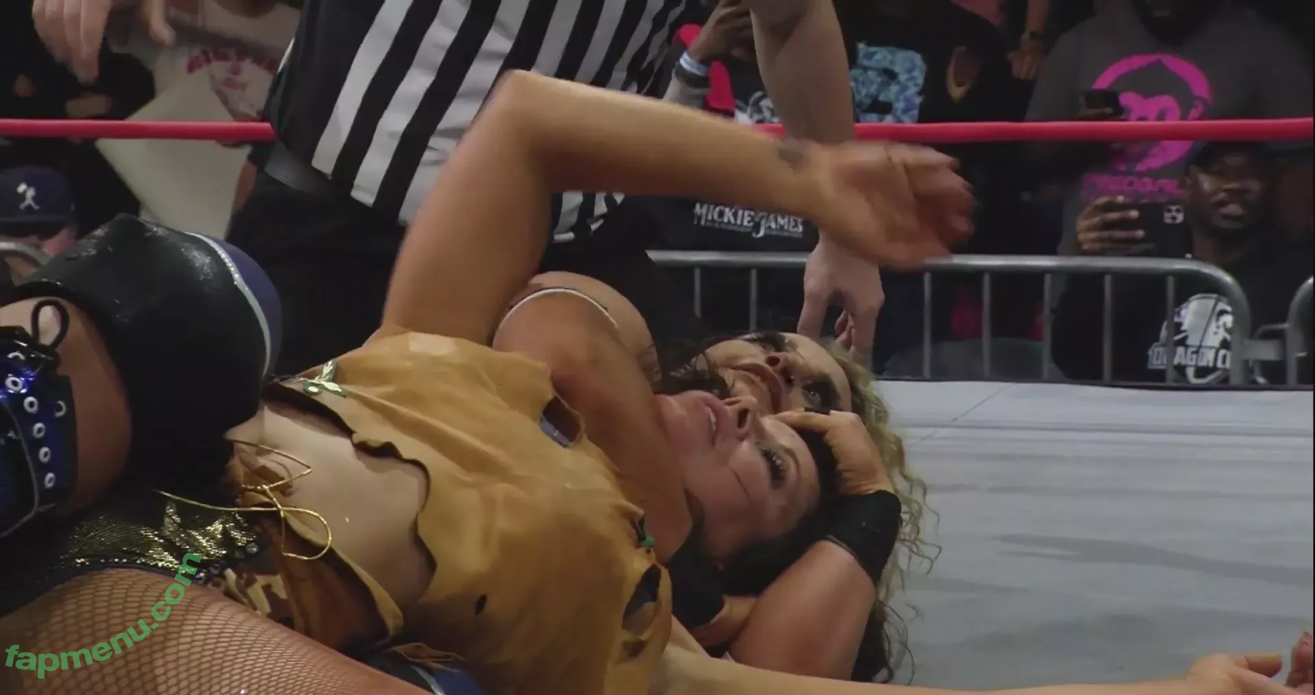 Mickie James nude photo #0537 (michelejames / themickiejames)