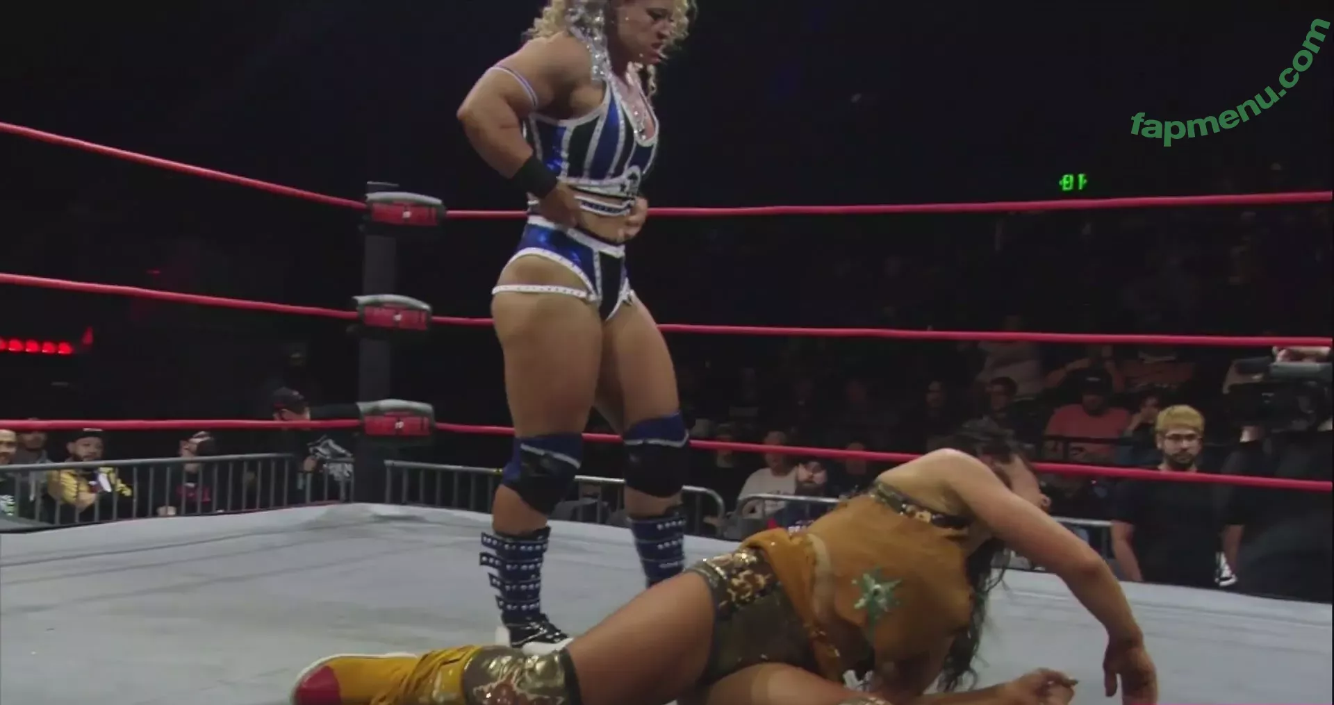 Mickie James nude photo #0540 (michelejames / themickiejames)