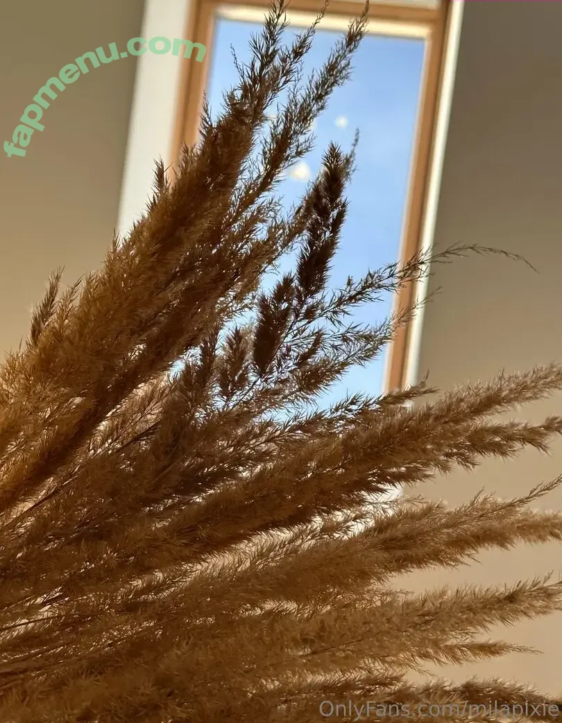 milapixie nude photo #0090 (milapixievip)