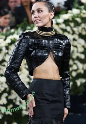 Miley Cyrus / MileyCyrus nude photo #4856