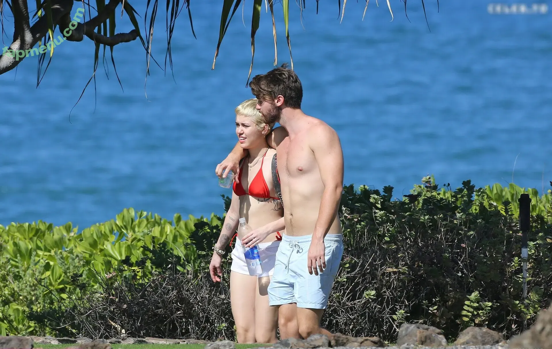 Miley Cyrus nude photo #4625 (MileyCyrus)