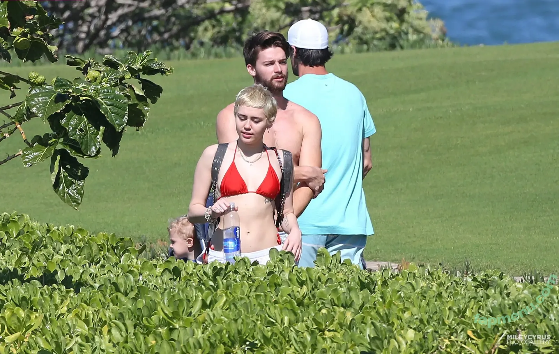Miley Cyrus nude photo #4637 (MileyCyrus)
