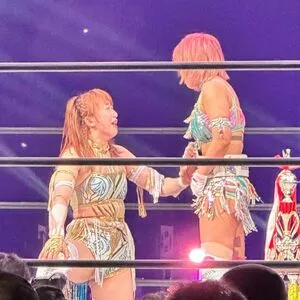 Mina Shirakawa / mina_shirakawa nude photo #1721