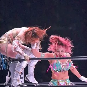 Mina Shirakawa / mina_shirakawa nude photo #1724