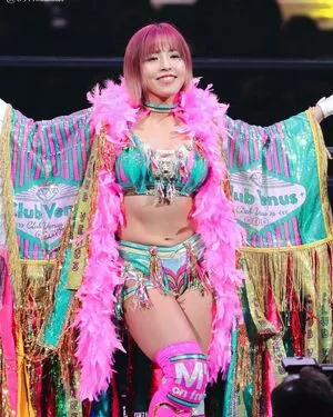 Mina Shirakawa / mina_shirakawa nude photo #1730