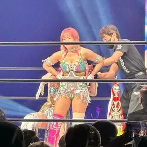 Mina Shirakawa / mina_shirakawa nude photo #1731