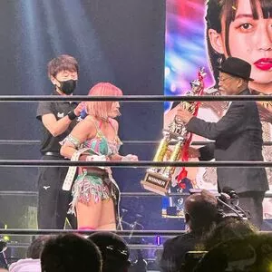 Mina Shirakawa / mina_shirakawa nude photo #1732