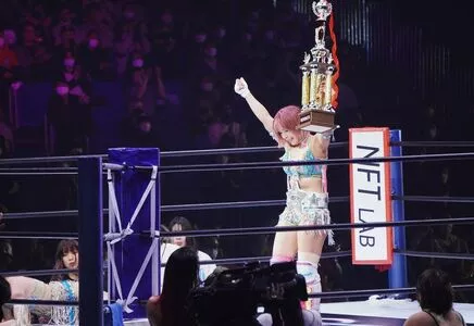 Mina Shirakawa / mina_shirakawa nude photo #1735