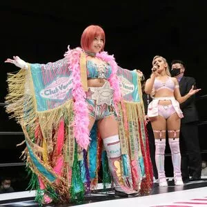 Mina Shirakawa / mina_shirakawa nude photo #1747