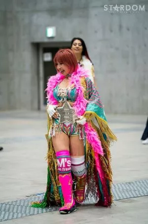 Mina Shirakawa / mina_shirakawa nude photo #1753