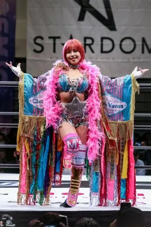 Mina Shirakawa / mina_shirakawa nude photo #1758