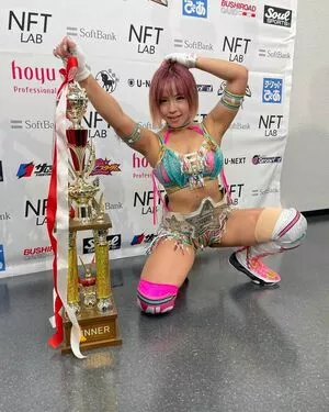 Mina Shirakawa / mina_shirakawa nude photo #1763