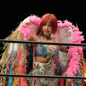 Mina Shirakawa / mina_shirakawa nude photo #1774